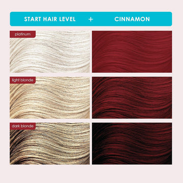 color_ cinnamon