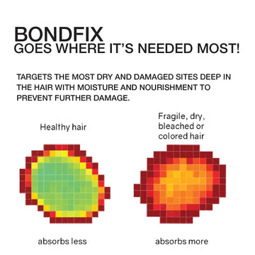 Celeb Luxury BondFix graphic comparing healthy hair with fragile, dry, bleached, or colored hair to show greater absorption in damaged areas.