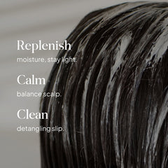 Essentials by LOMA Healthy Scalp Conditioner graphic showing dark wet hair with moisture replenishment, scalp balance, and detangling benefits