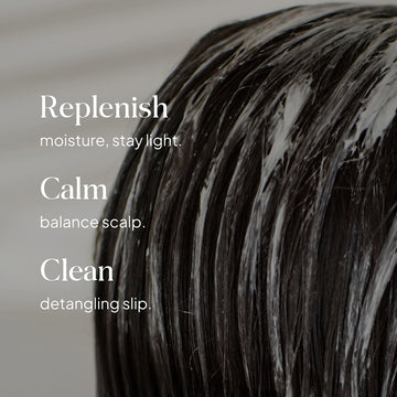 Essentials by LOMA Healthy Scalp Conditioner graphic showing dark wet hair with moisture replenishment, scalp balance, and detangling benefits