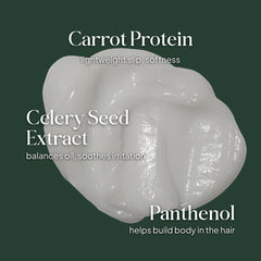 Essentials by LOMA Healthy Scalp Conditioner graphic featuring carrot protein, celery seed extract, and panthenol with lightweight conditioning benefits