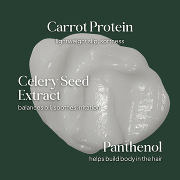 Essentials by LOMA Healthy Scalp Conditioner graphic featuring carrot protein, celery seed extract, and panthenol with lightweight conditioning benefits
