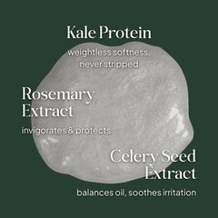 Essentials by LOMA Healthy Scalp Shampoo graphic featuring kale protein, rosemary extract, and celery seed extract with scalp-care benefits