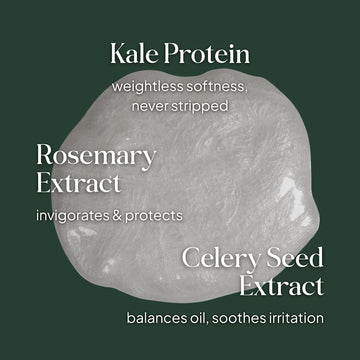 Essentials by LOMA Healthy Scalp Shampoo graphic featuring kale protein, rosemary extract, and celery seed extract with scalp-care benefits