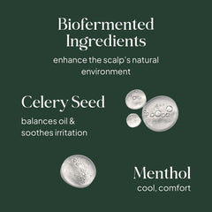 Essentials by LOMA Healthy Scalp Treatment graphic featuring celery seed extract for oil balance and soothing, and menthol for cooling scalp comfort