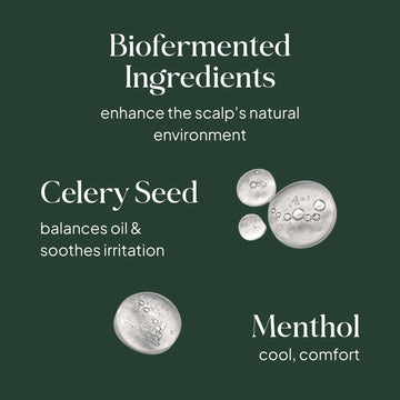 Essentials by LOMA Healthy Scalp Treatment graphic featuring celery seed extract for oil balance and soothing, and menthol for cooling scalp comfort