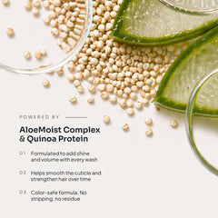 Aloe vera and quinoa imagery with text describing Loma Daily Shampoo's AloeMoist Complex, quinoa protein, shine, volume, smoothness, and color-safe formula