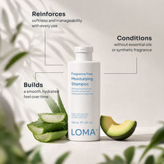Loma Fragrance Free Moisturizing Shampoo 12 oz bottle with aloe and avocado, highlighting softness, manageability, and fragrance-free conditioning
