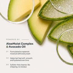 Aloe vera and avocado imagery with text describing Loma Moisturizing Shampoo's AloeMoist Complex, avocado oil, moisture replenishment, and sulfate-free cleansing