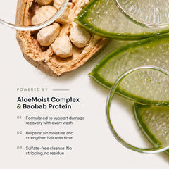 Aloe vera and baobab imagery with text describing Loma Nourishing Shampoo's AloeMoist Complex, baobab protein, damage recovery, moisture retention, and sulfate-free cleansing