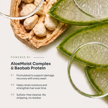 Aloe vera and baobab imagery with text describing Loma Nourishing Shampoo's AloeMoist Complex, baobab protein, damage recovery, moisture retention, and sulfate-free cleansing
