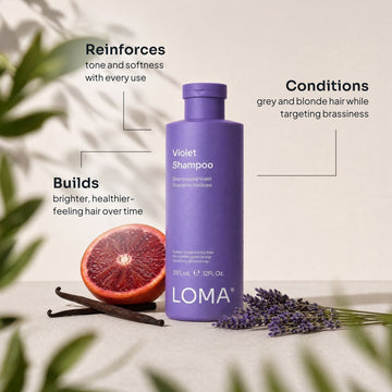 Loma Violet Shampoo 12 oz bottle with grapefruit, vanilla beans, and lavender, highlighting tone, softness, and brassiness control for grey and blonde hair