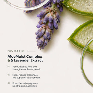 Aloe vera and lavender imagery highlighting Loma Violet Shampoo with AloeMoist Complex and Lavender Extract for toning and reducing brassiness