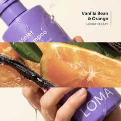 Wet purple Loma Violet Shampoo bottle held beside vanilla bean and orange imagery, featuring Vanilla Bean and Orange LomaTherapy