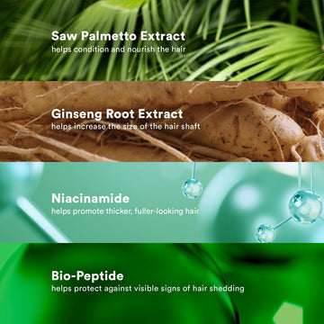 Verb Density Peptide Shampoo key ingredients graphic featuring saw palmetto extract, ginseng root extract, niacinamide, and bio-peptide