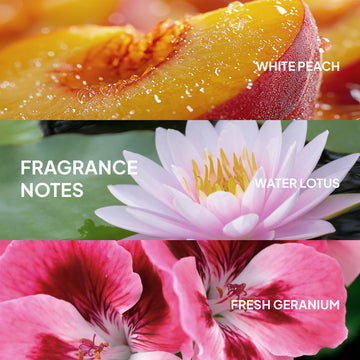 Verb Dry Shampoo Powder fragrance notes featuring white peach, water lotus, and fresh geranium