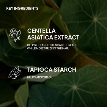 Verb Dry Shampoo Powder key ingredients graphic featuring Centella asiatica extract and tapioca starch